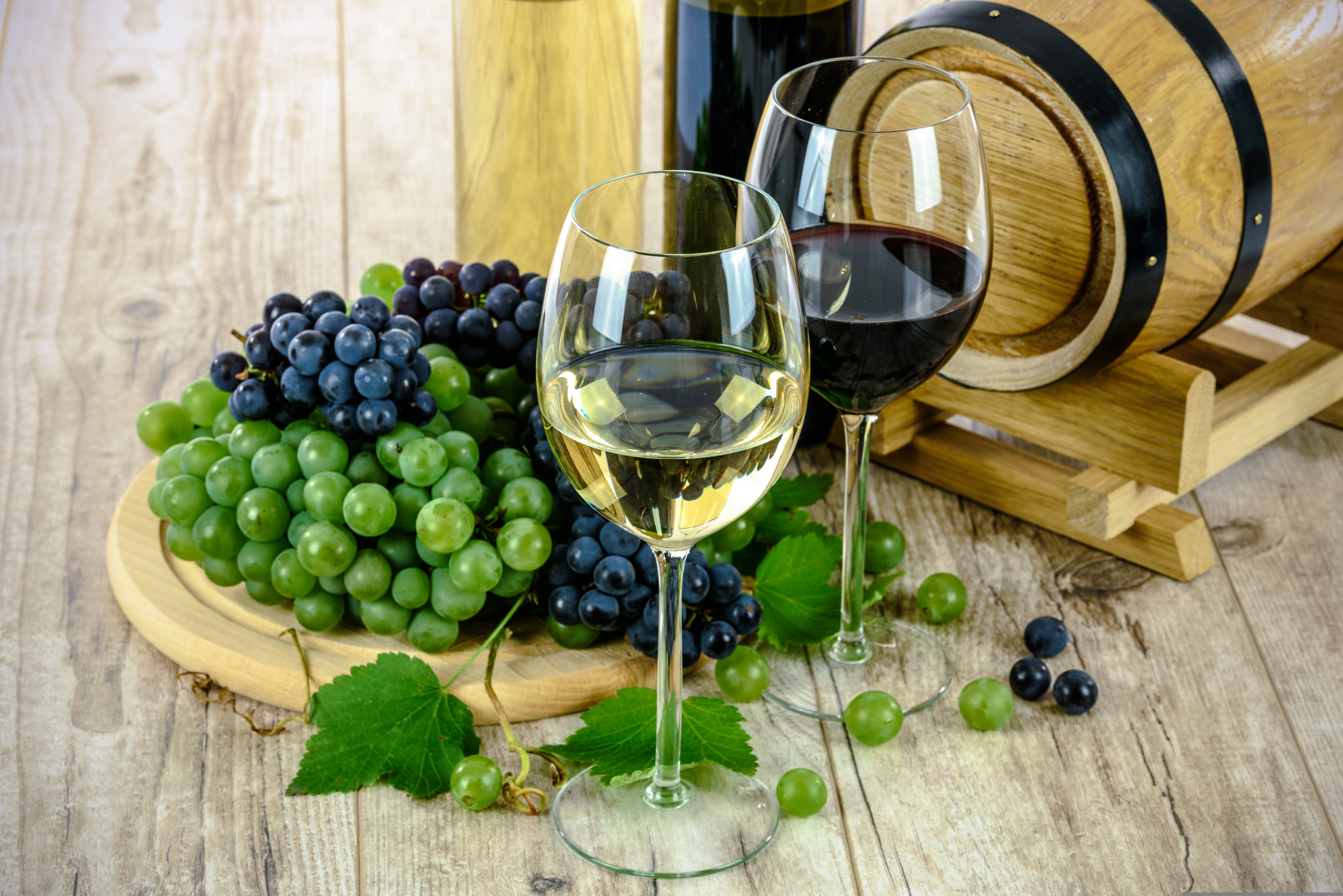 FOOD, WINE & MORE - 65B77214596A8365571062 Food, Wine & More
